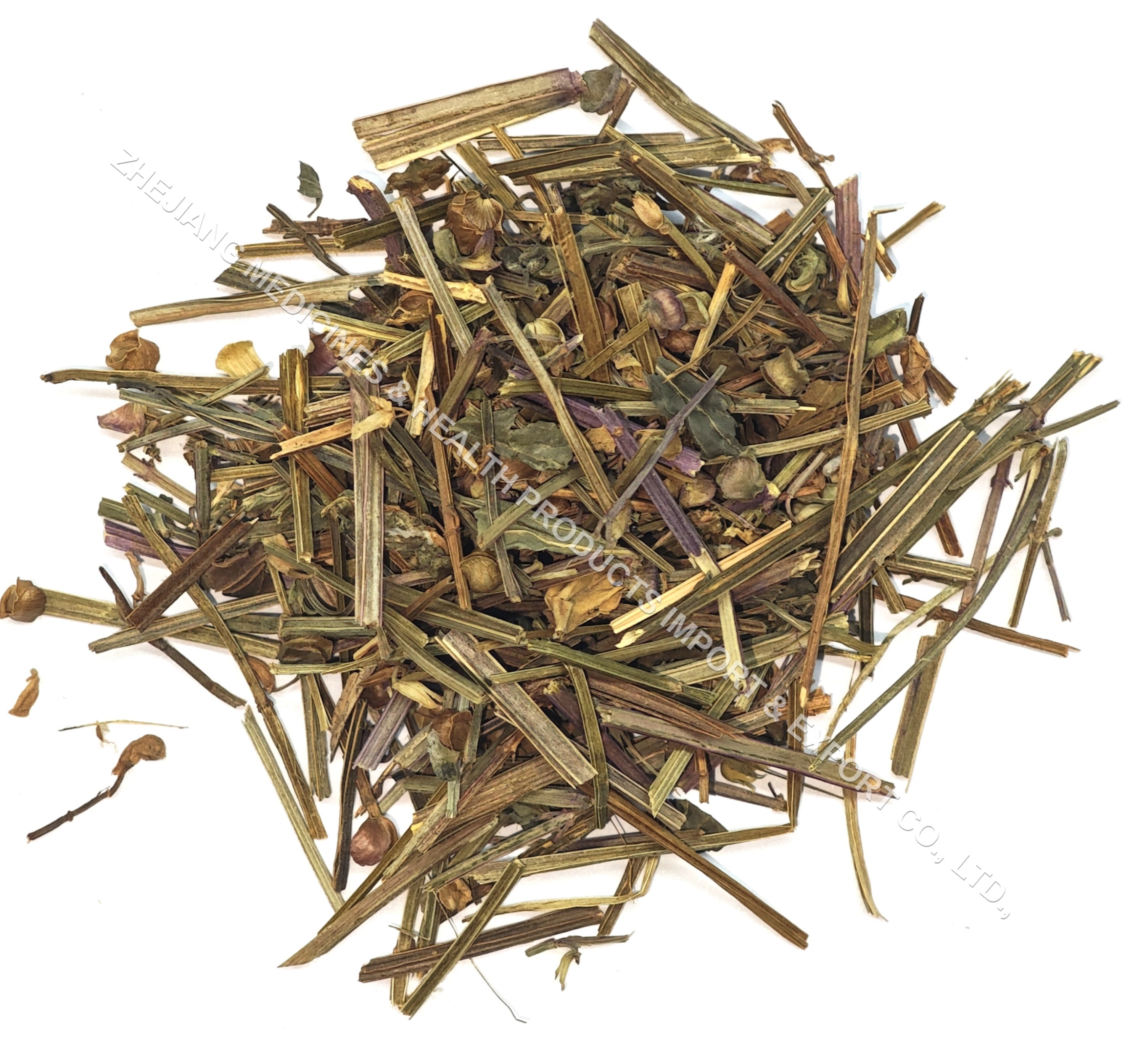 Barbed Skullcap Herb