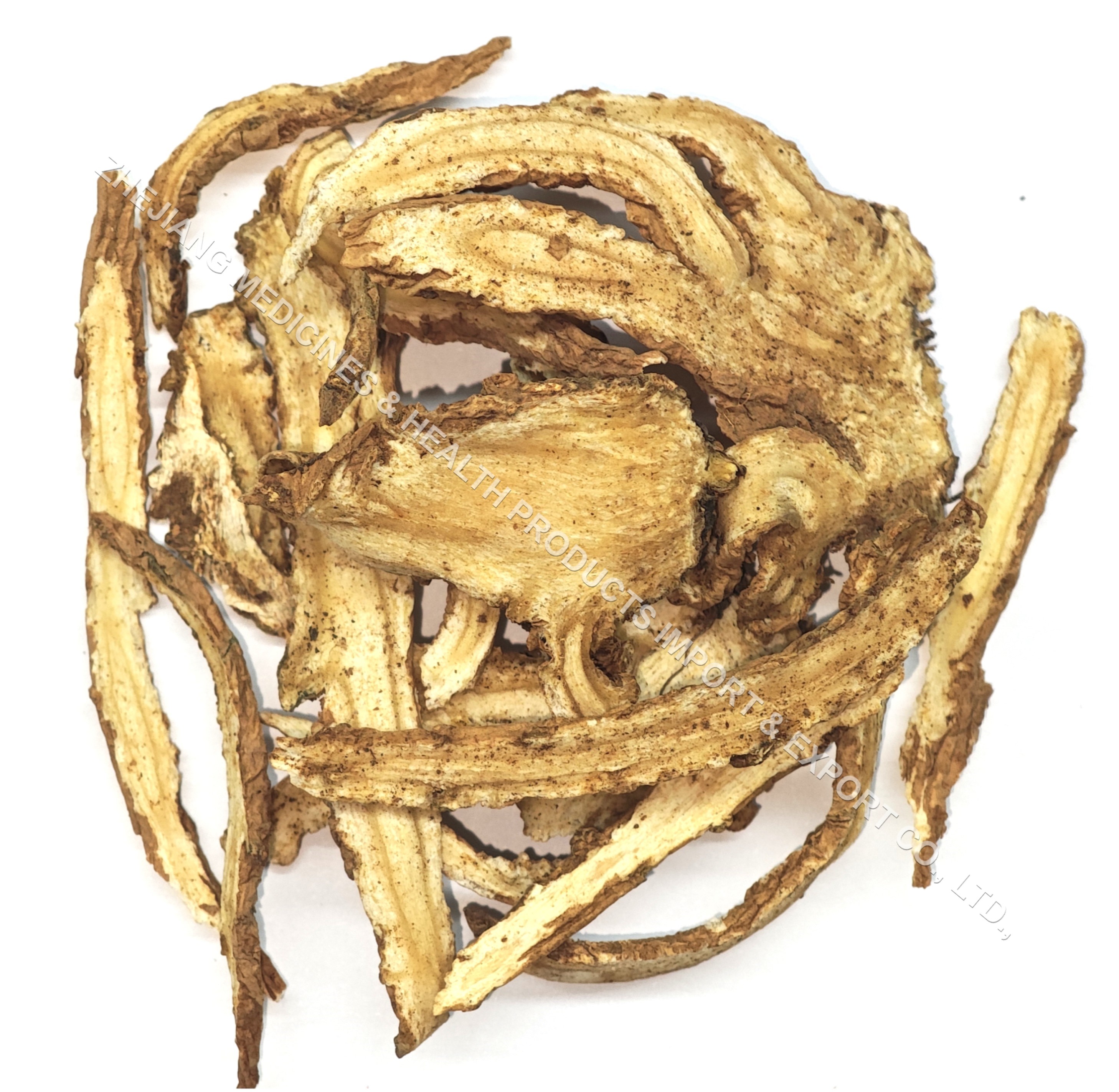Chinese Angelica