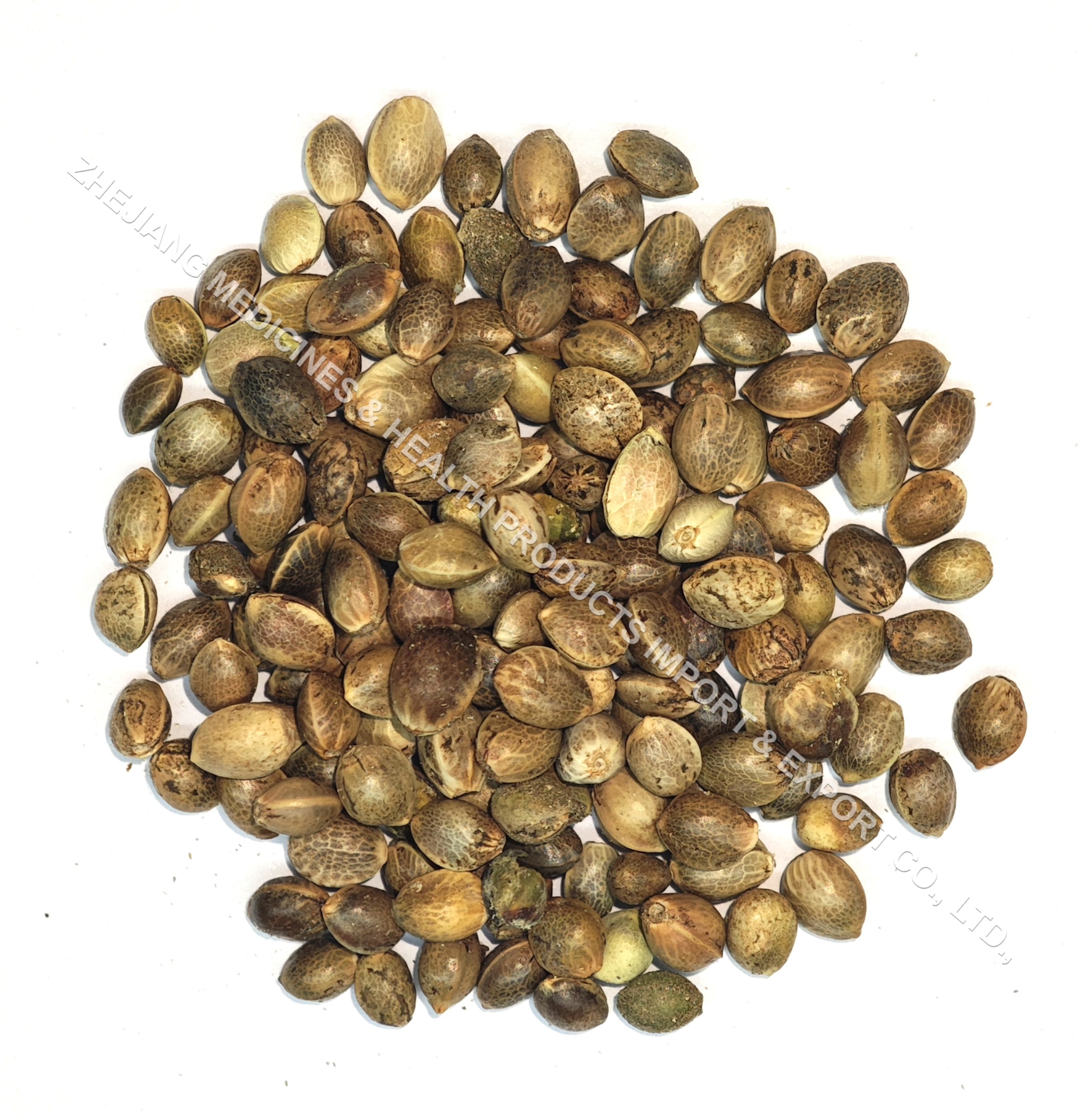 Hemp Seed