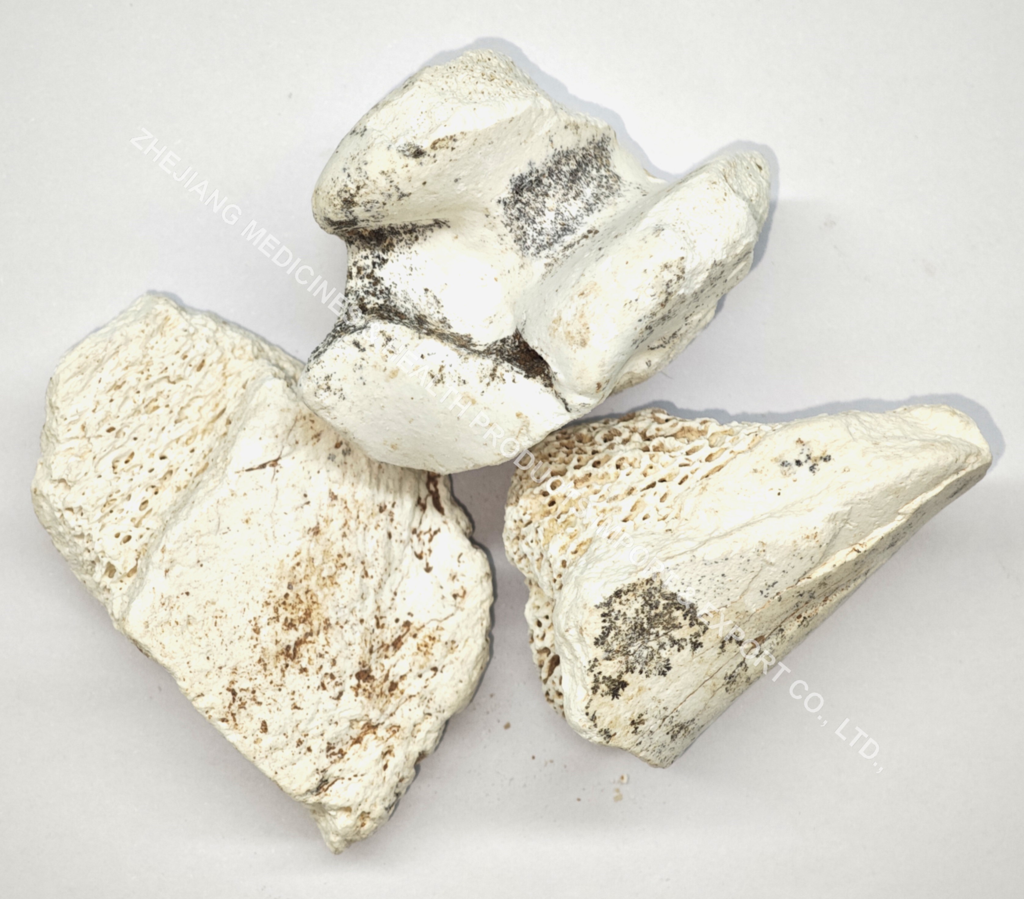 Dragon Bone