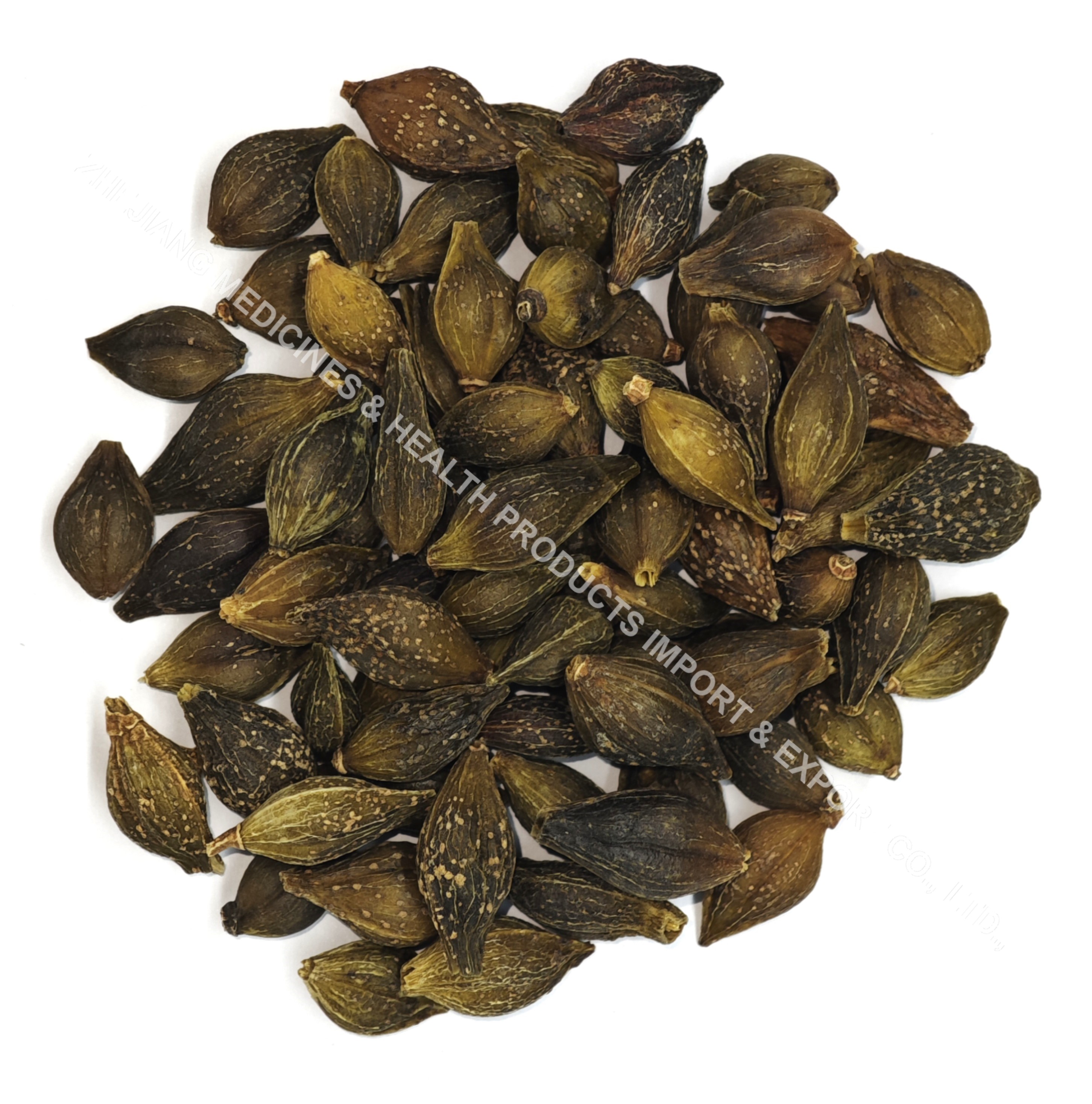 Green Forsythia Fruit
