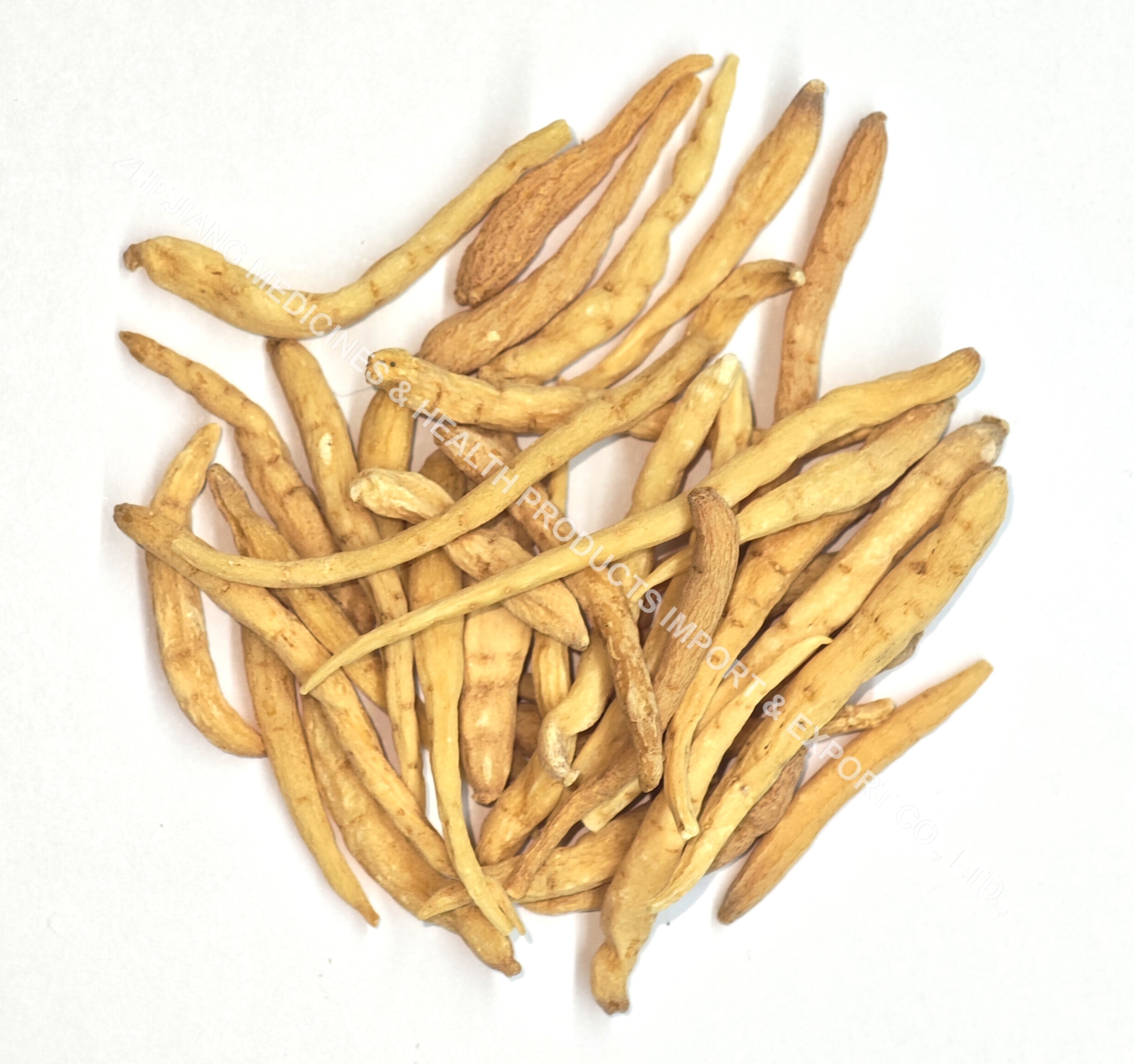 Heterophylly Falsestarwort Root