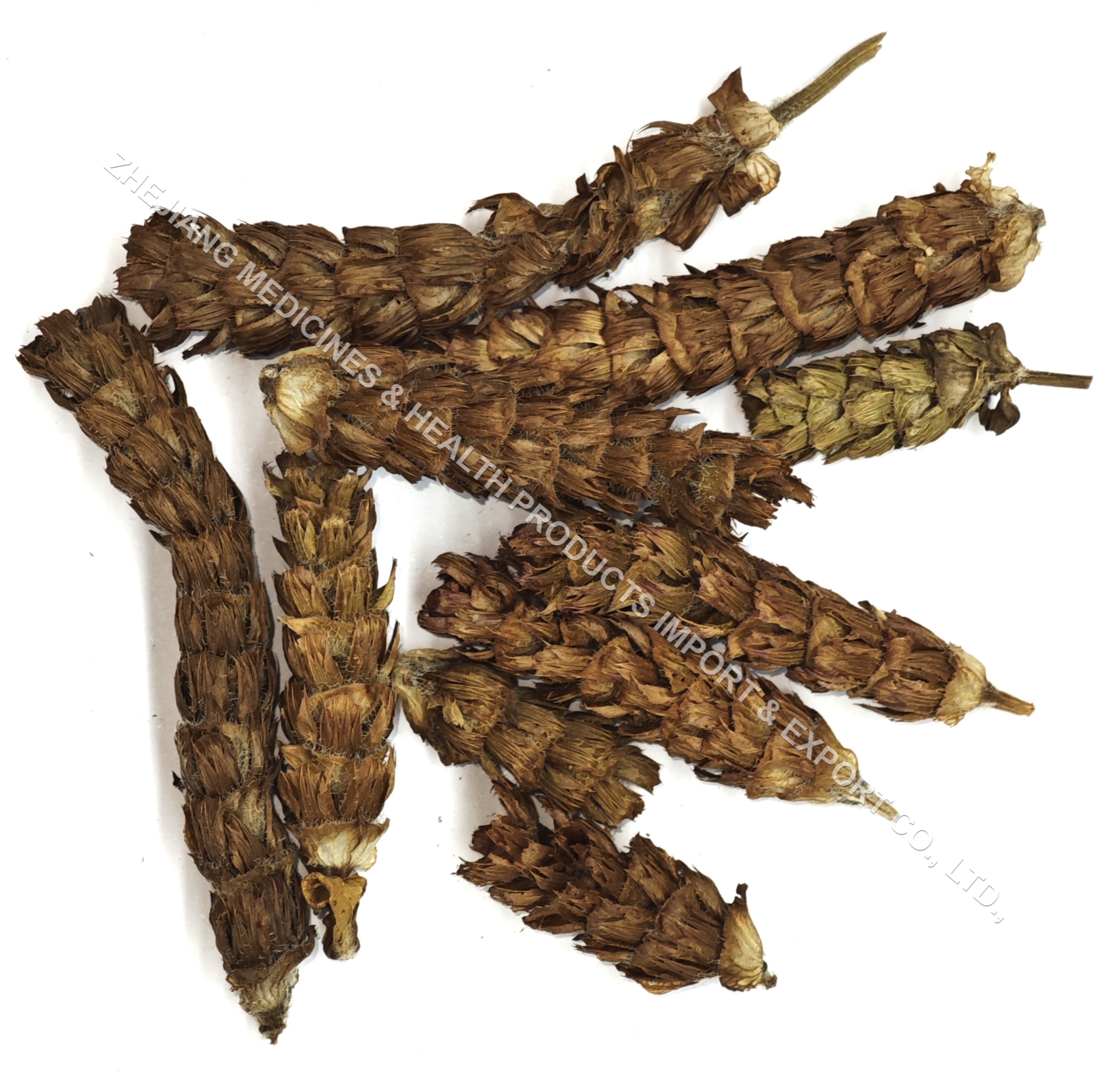 Prunella Spica
