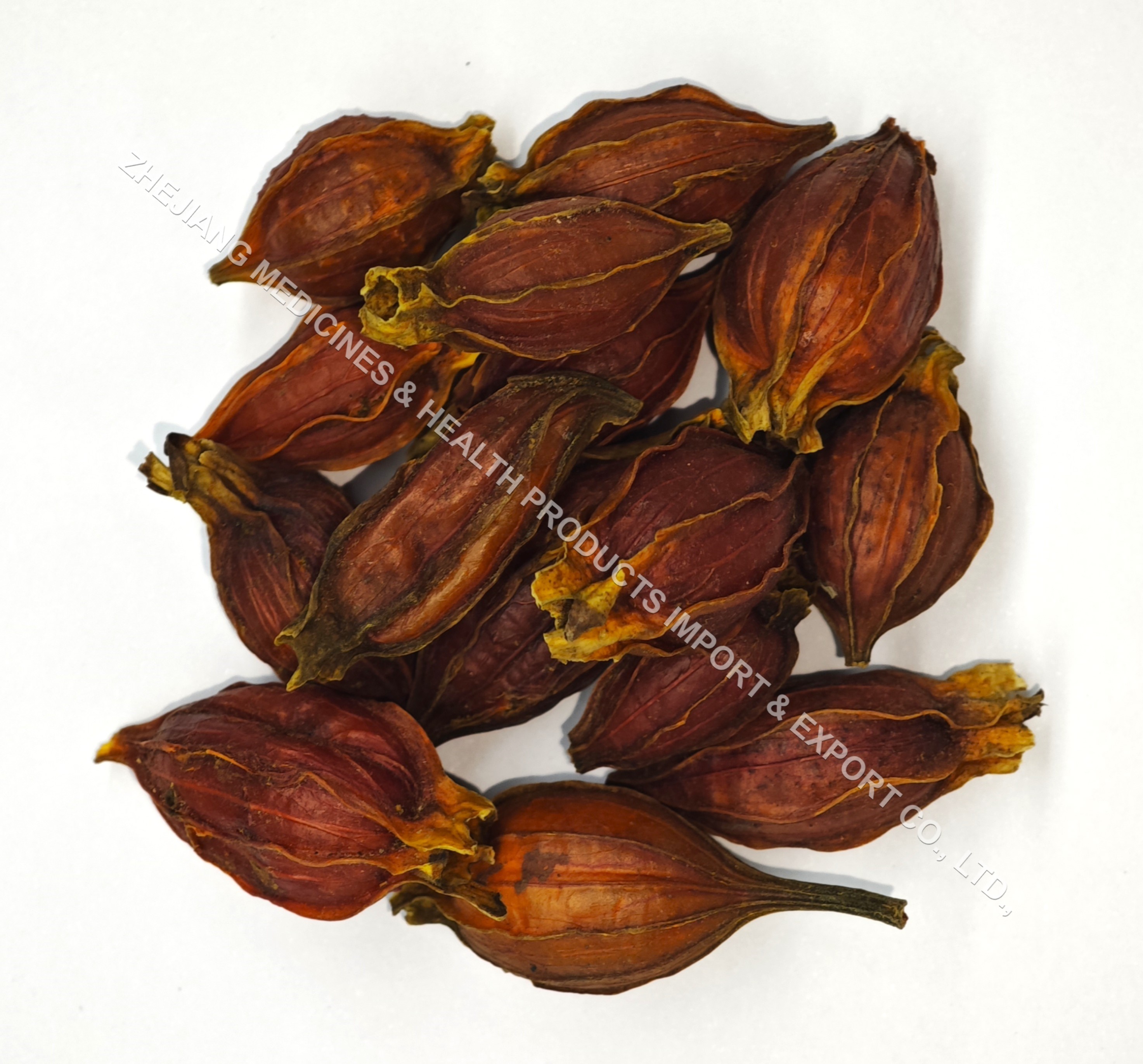 Gardenia Fruit