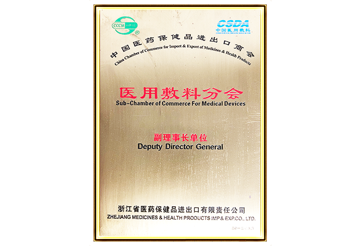 Vice Chairman Unit of Medical Dressings Branch